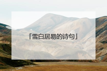 雪白居易的诗句