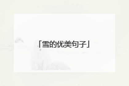 雪的优美句子