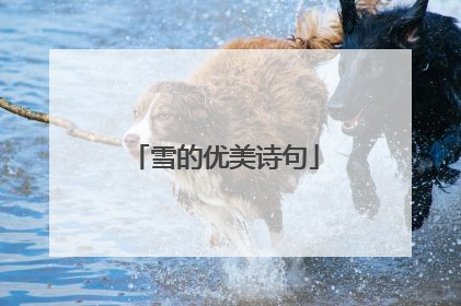 雪的优美诗句