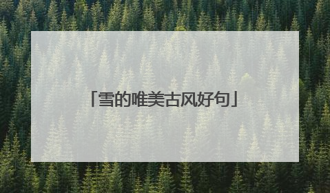 雪的唯美古风好句