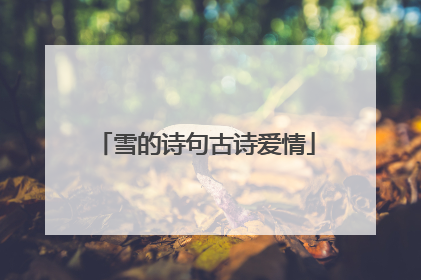雪的诗句古诗爱情