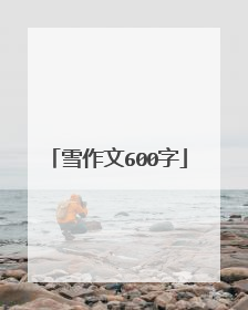 雪作文600字