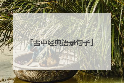 雪中经典语录句子