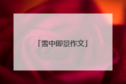 雪中即景作文