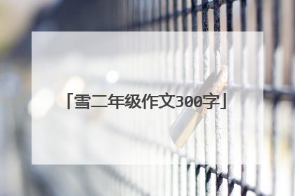 雪二年级作文300字