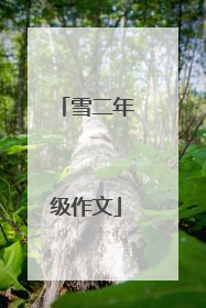雪二年级作文