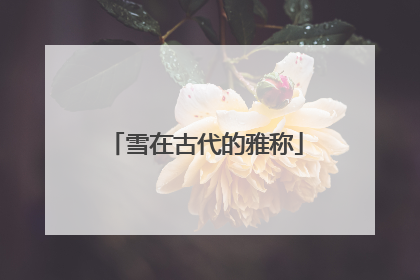 雪在古代的雅称