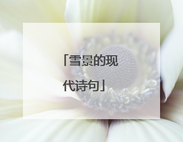 雪景的现代诗句