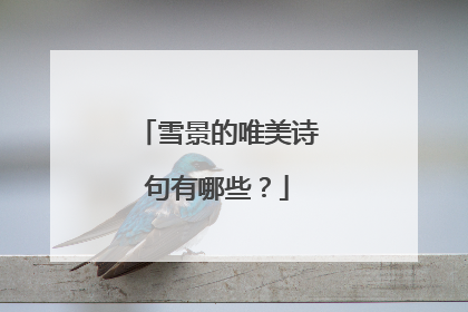 雪景的唯美诗句有哪些?