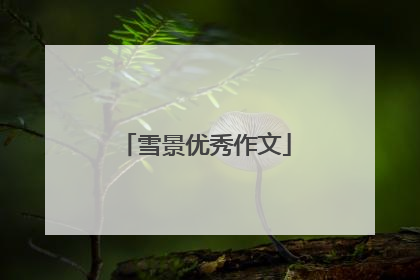 雪景优秀作文