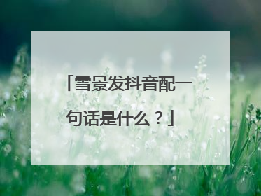 雪景发抖音配一句话是什么？
