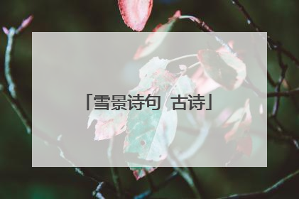 雪景诗句 古诗