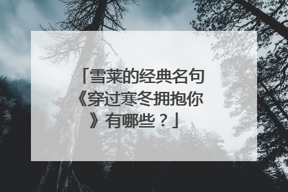 雪莱的经典名句《穿过寒冬拥抱你》有哪些?