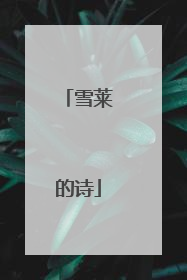 雪莱的诗