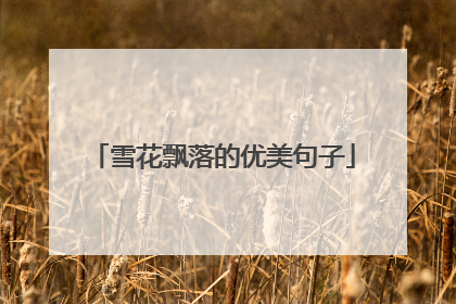雪花飘落的优美句子