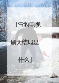 雪豹电视剧大结局是什么