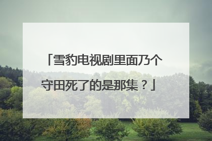 雪豹电视剧里面乃个守田死了的是那集?