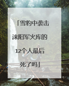 雪豹中袭击涞阳军火库的12个人最后死了吗