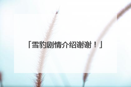 雪豹剧情介绍谢谢！