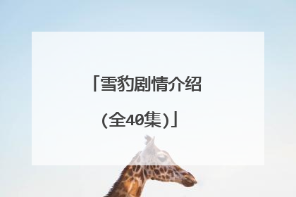 雪豹剧情介绍(全40集)