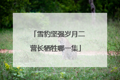 雪豹坚强岁月二营长牺牲哪一集