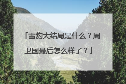 雪豹大结局是什么？周卫国最后怎么样了？