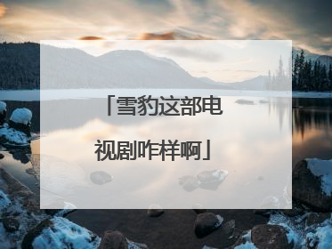 雪豹这部电视剧咋样啊