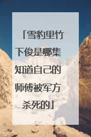 雪豹里竹下俊是哪集知道自己的师傅被军方杀死的