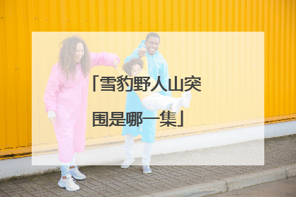 雪豹野人山突围是哪一集