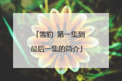 雪豹 第一集到最后一集的简介