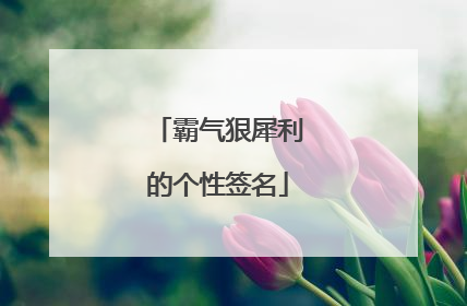 霸气狠犀利的个性签名