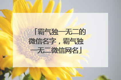霸气独一无二的微信名字,霸气独一无二微信网名