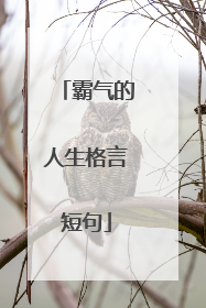 霸气的人生格言短句