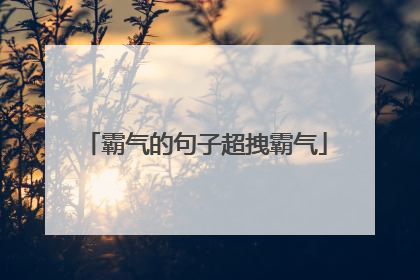 霸气的句子超拽霸气