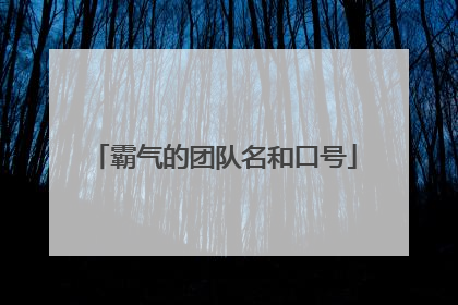 霸气的团队名和口号