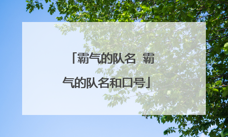 霸气的队名 霸气的队名和口号