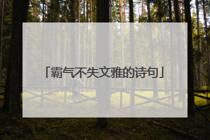 霸气不失文雅的诗句