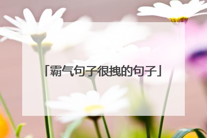 霸气句子很拽的句子
