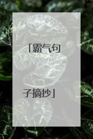 霸气句子摘抄