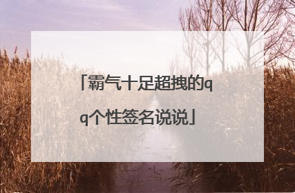 霸气十足超拽的qq个性签名说说