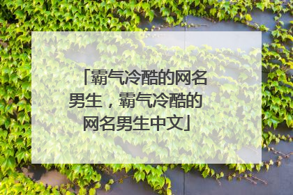 霸气冷酷的网名男生,霸气冷酷的网名男生中文