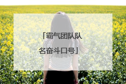 霸气团队队名奋斗口号