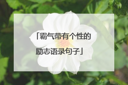 霸气带有个性的励志语录句子