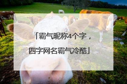 霸气昵称4个字,四字网名霸气冷酷