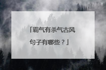 霸气有杀气古风句子有哪些?
