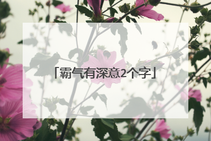 霸气有深意2个字