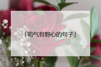 霸气有野心的句子