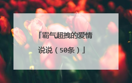 霸气超拽的爱情说说(50条)