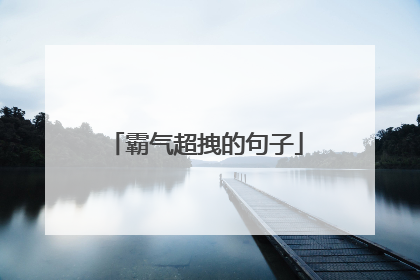 霸气超拽的句子