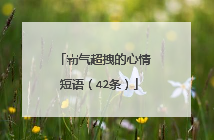 霸气超拽的心情短语（42条）